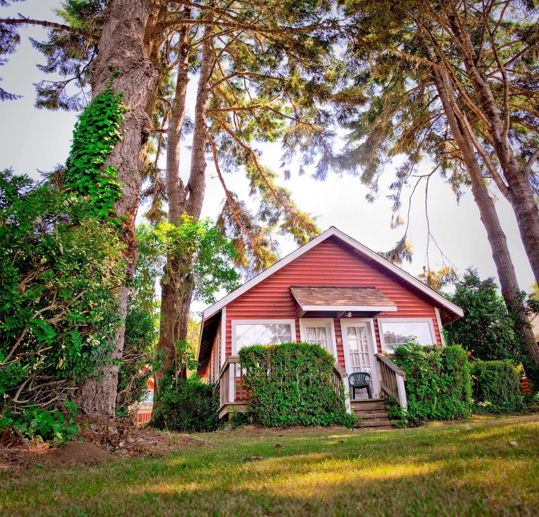 View Crest Lodge Trinidad Exterior foto